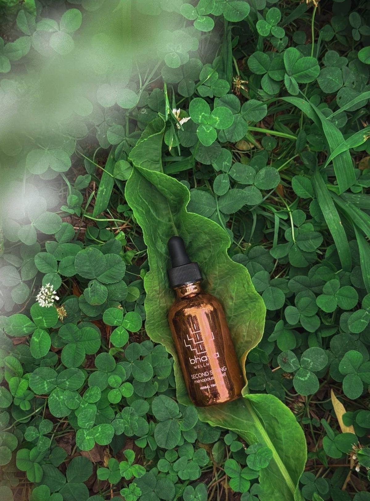 Second Spring Menopause relief tincture