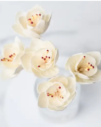 White flower reed diffuser sticks for Fig & Grove reed diffuser bottles